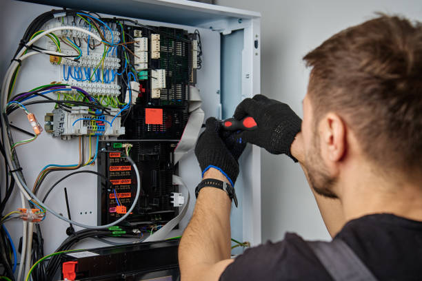 Licensed Electrical Panel Upgrade service in Croswell, MI - No Joke electrician
